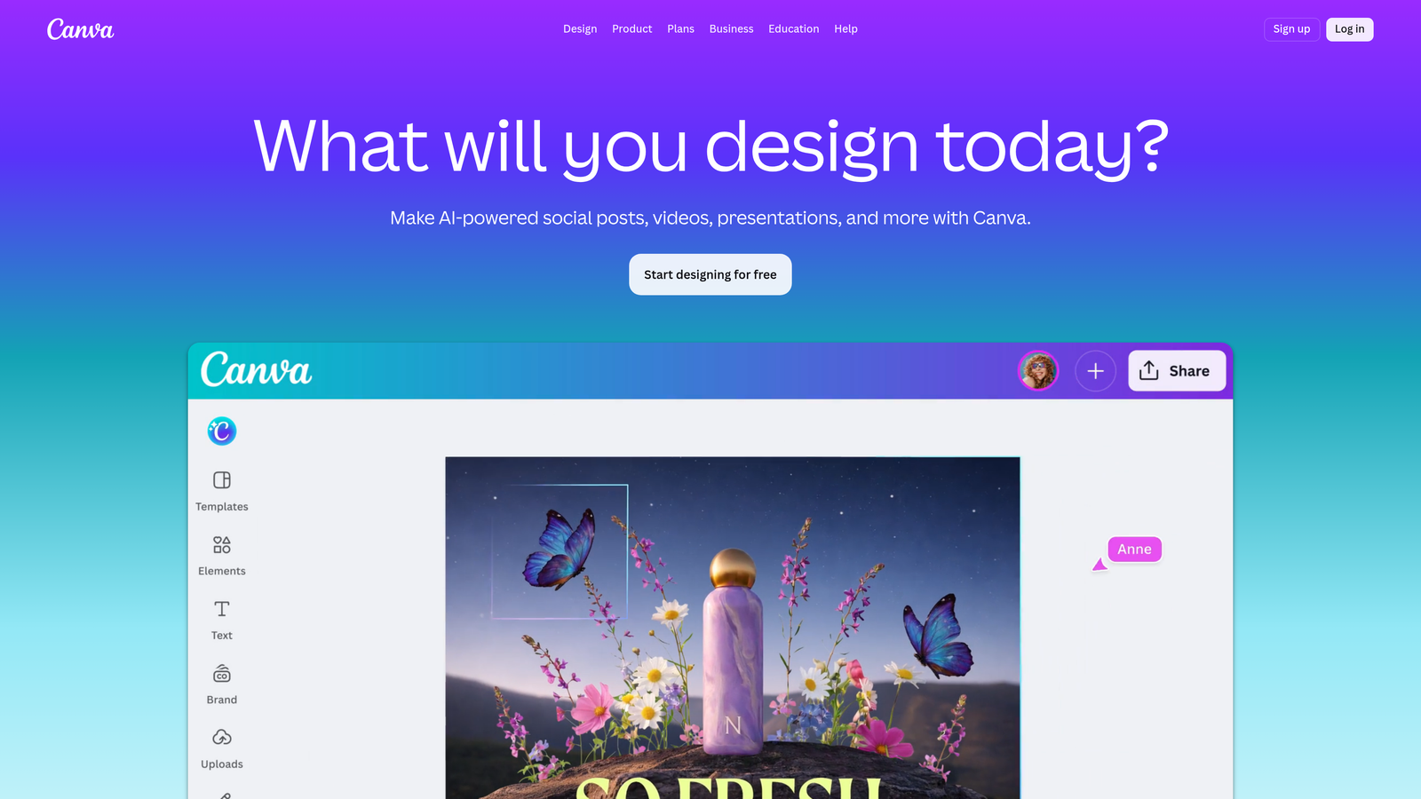 Screenshot of Canva Pro website