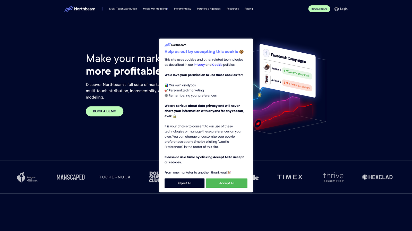 Screenshot of Northbeam website