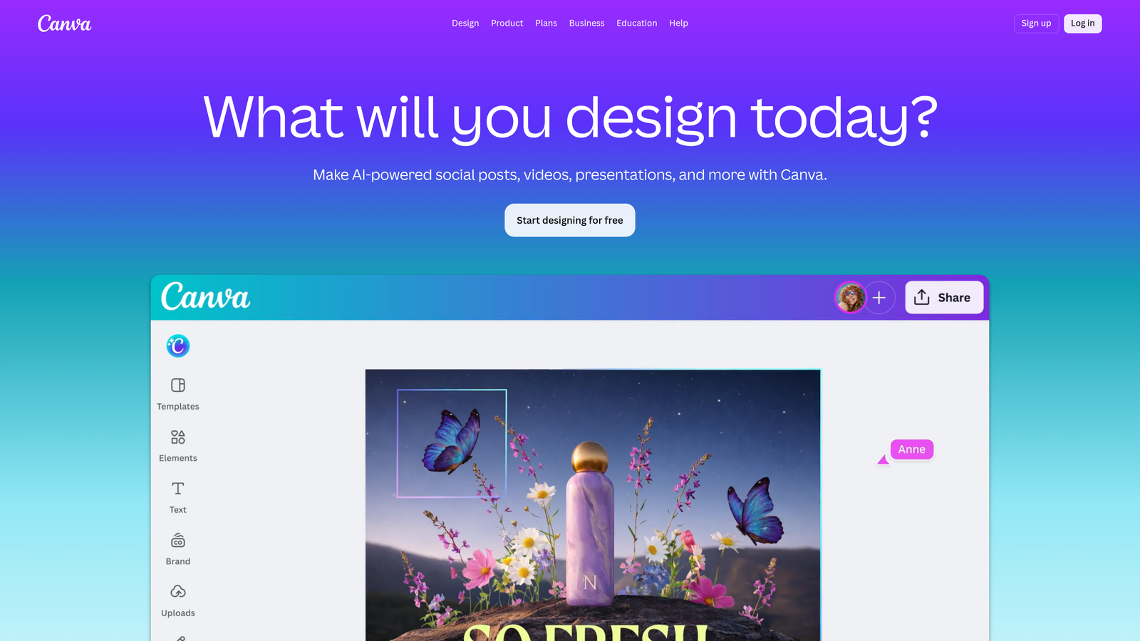 Screenshot of Canva Pro website