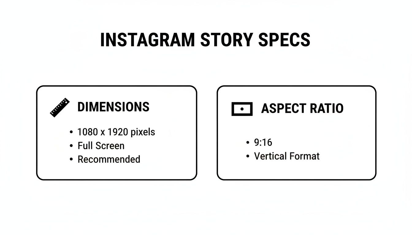 Instagram Story specifications, detailing recommended dimensions (1080x1920 pixels, full screen) and 9:16 vertical aspect ratio.
